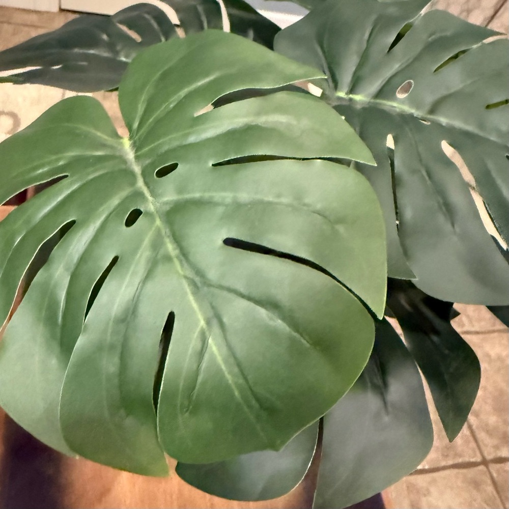 🪴 Faux Monstera Plant - Picture 5 of 12